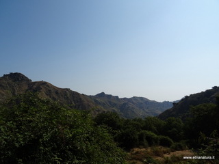 Ramulia